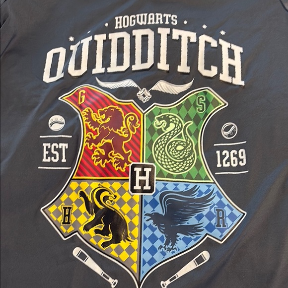 Universal Harry Potter Wizarding World Grey Quidditch Women’s Athletic Tee - Picture 5 of 5
